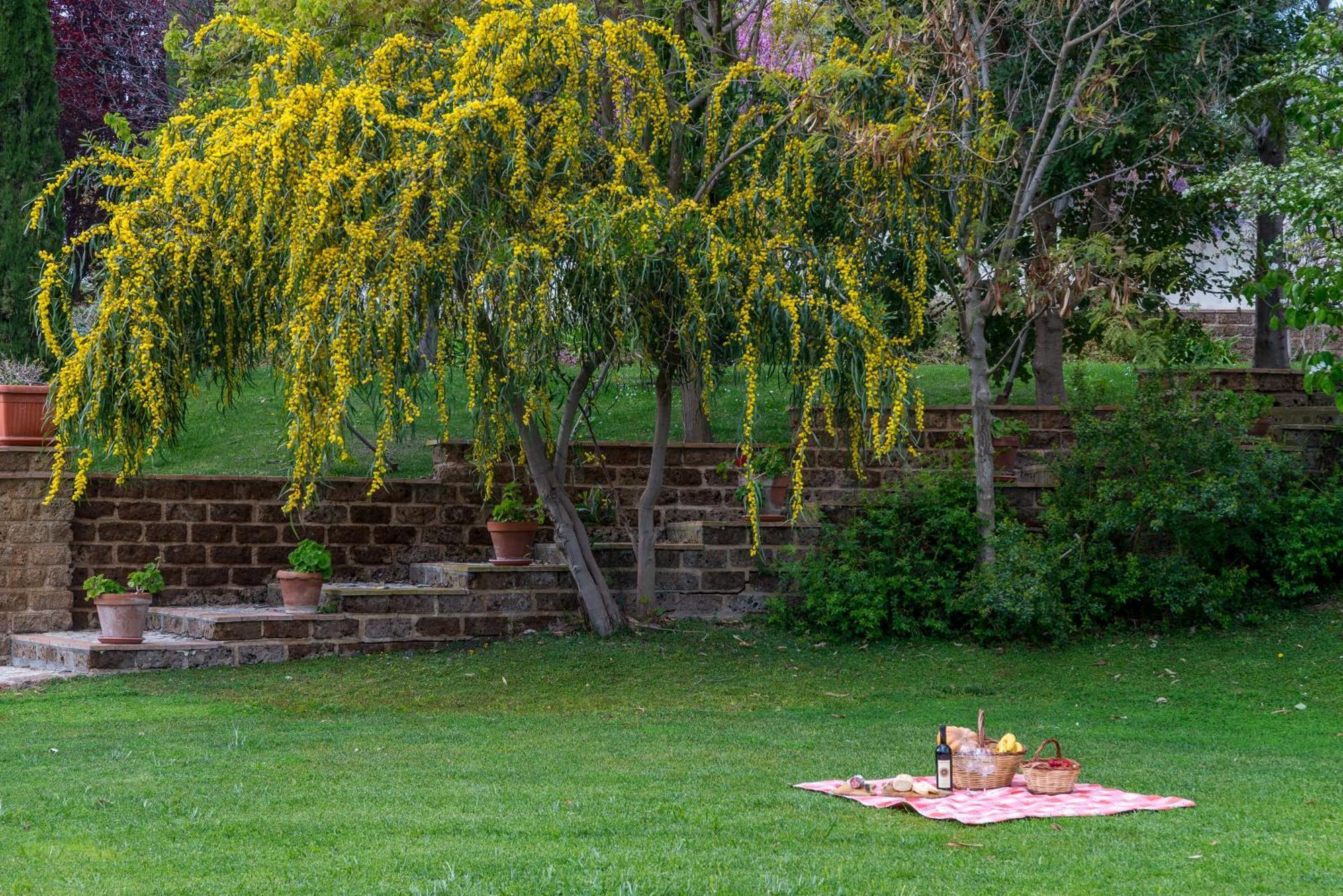 Villa Gli Eucalipti Cerveteri Eksteriør bilde