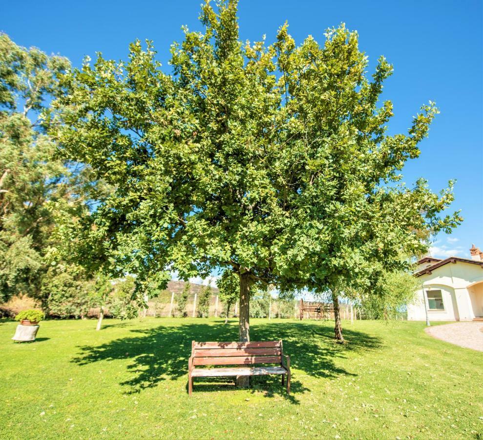 Villa Gli Eucalipti Cerveteri Eksteriør bilde